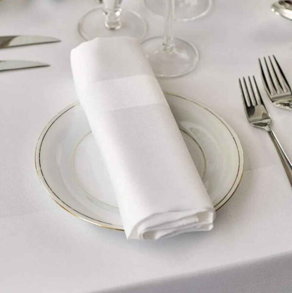 Satin Band Napkins - Image 2